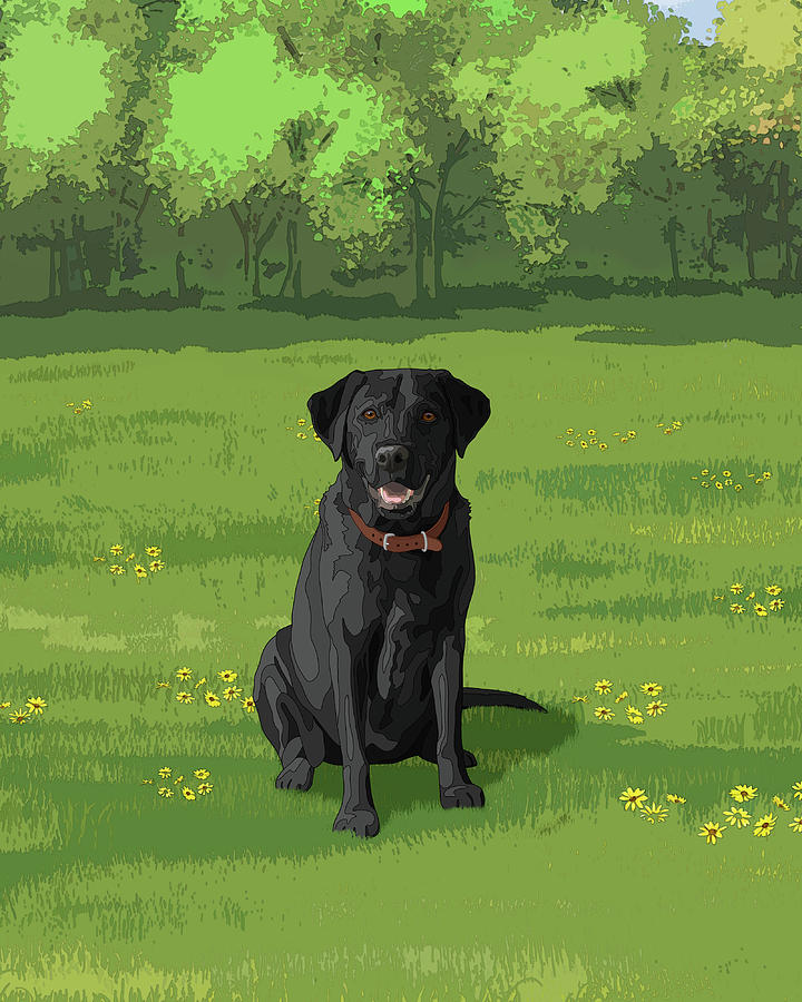 Black Labrador Retriever Hunting Dog in Field Painting by Crista Forest