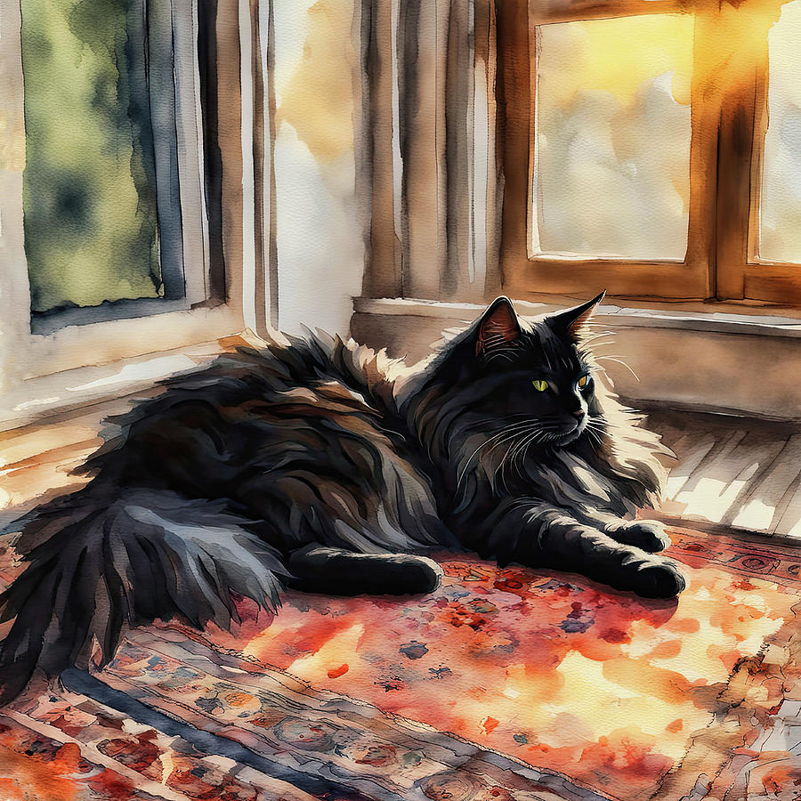 Black Maine Coon Resting by HH Photography of Florida. Digital Art by HH Photography of Florida