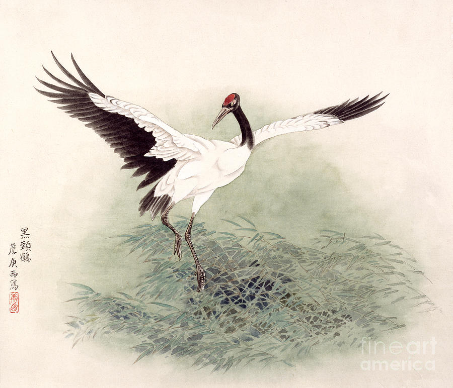 Black-necked Crane Painting by Zhan Gengxi