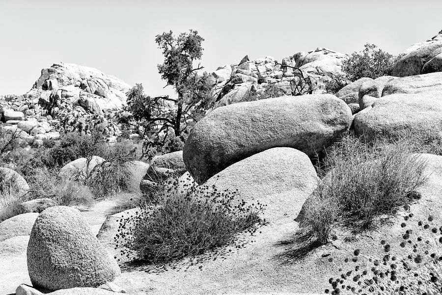 Black Nevada Series - Between the Rocks Photograph by Philippe HUGONNARD