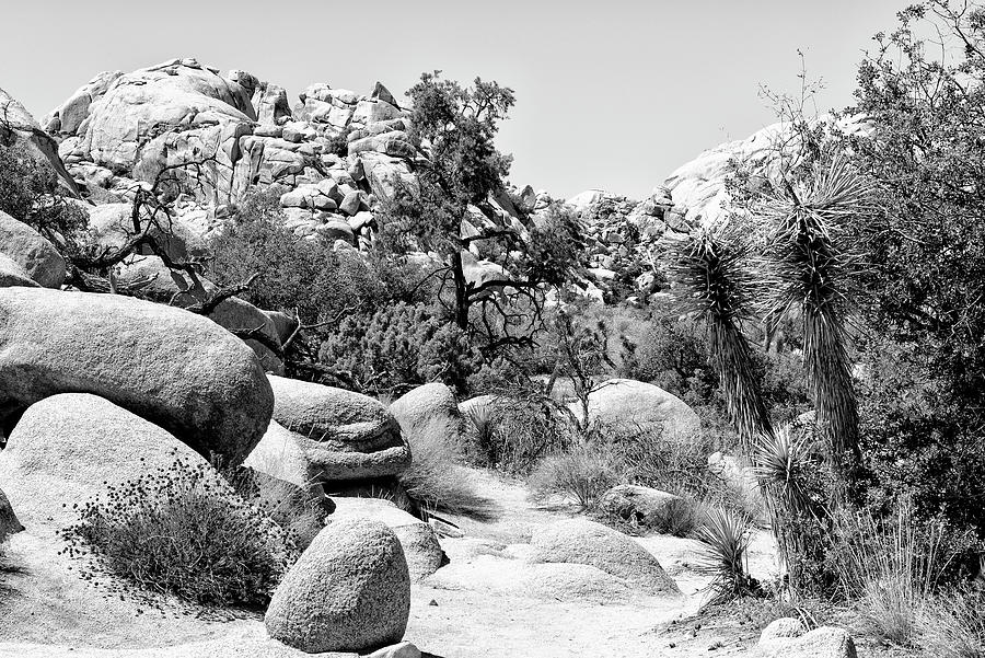 Black Nevada Series - Between two Rocks Photograph by Philippe HUGONNARD