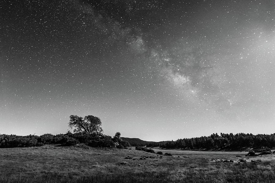 Black Oak and Milky Way Photograph by Alexander Kunz