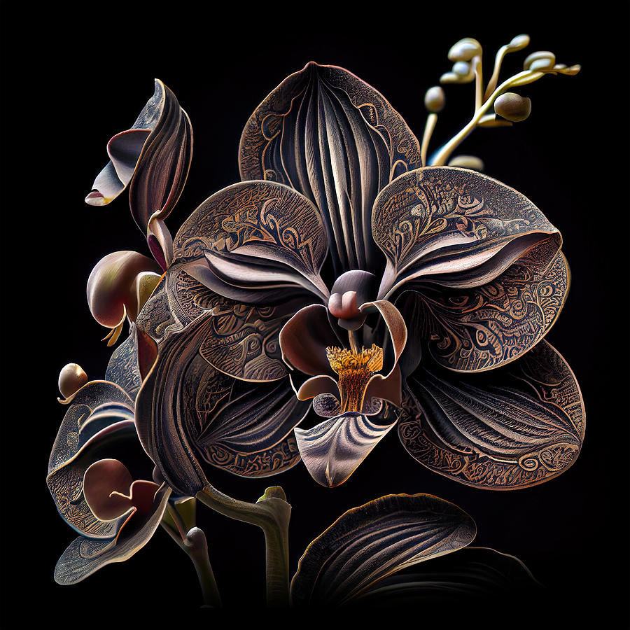 Black Orchid II from Majestic Orchids Art Collection Digital Art by Lily Malor