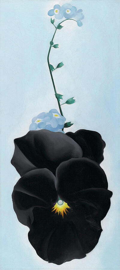 Black pansy with forget-me-nots - Modernist flower painting Painting by Georgia OKeeffe