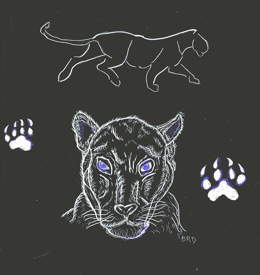 Black Panther Drawing by Branwen Drew