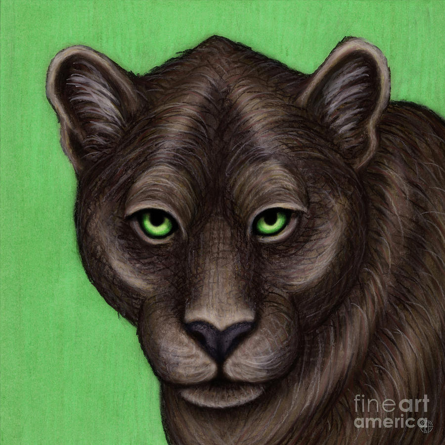 Black Panther Gaze Painting by Amy E Fraser