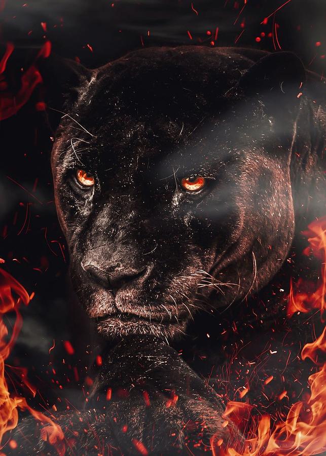 Black panther on fire art Digital Art by Decor Studio | Pixels