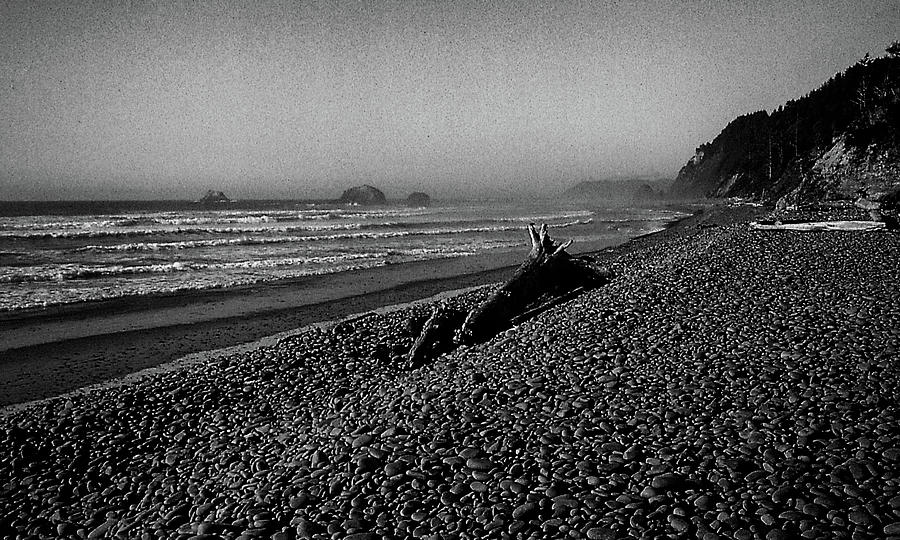 Black Pebble Beach Along the Oregon Coast Photograph by S Katz