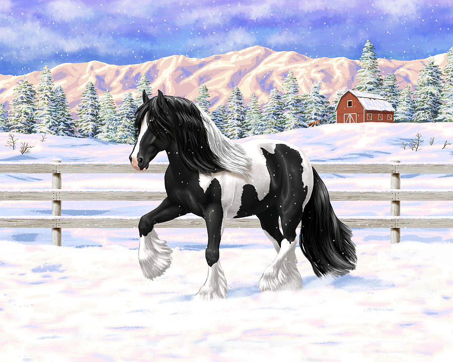 Black Pinto Gypsy Vanner In Snow Painting by Crista Forest