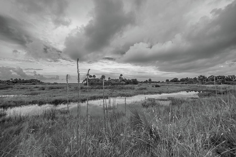 Black Point Wildlife Drive Scenery Photograph by Jeffrey Gruszel | Fine ...