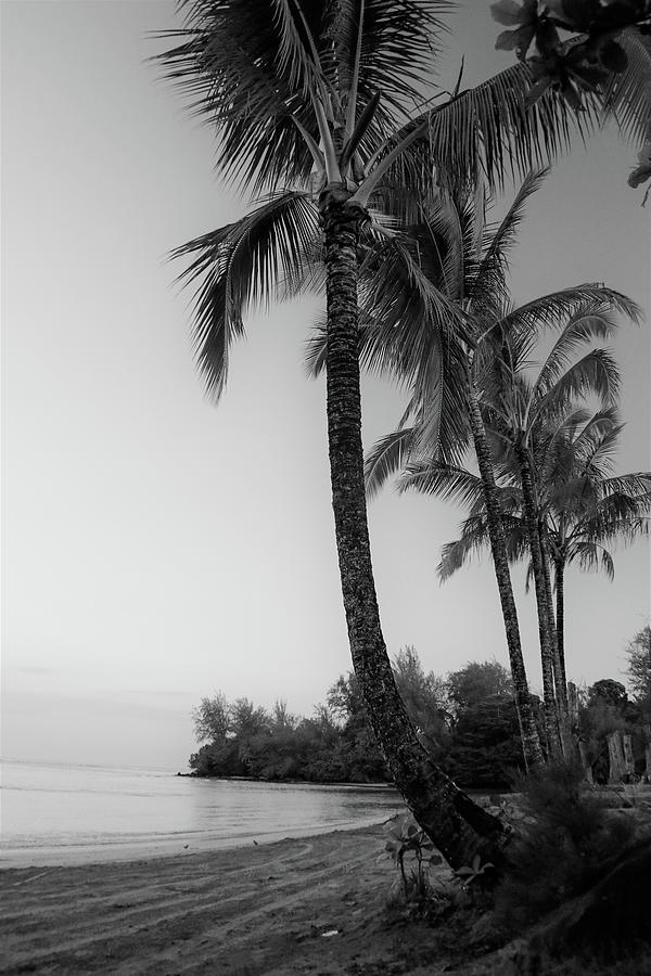 Black And White Photograph - Black Pot Beach by Tony Spencer