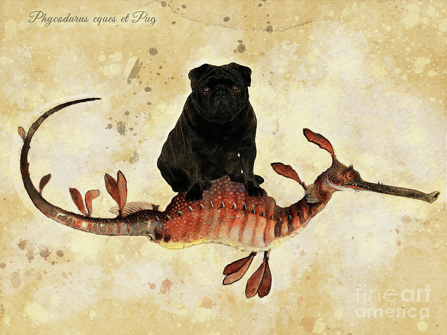 Black Pug Art dog riding Leafy seadragon Pug Gifts Digital Art by Sandra Sij