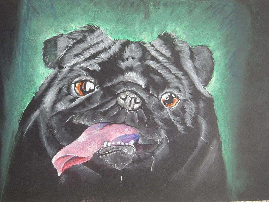 Black Puppy Pastel by Teresa Smith