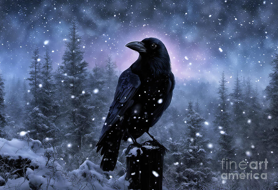 Black Raven and Snow Winter Season Mixed Media by Stephanie Laird