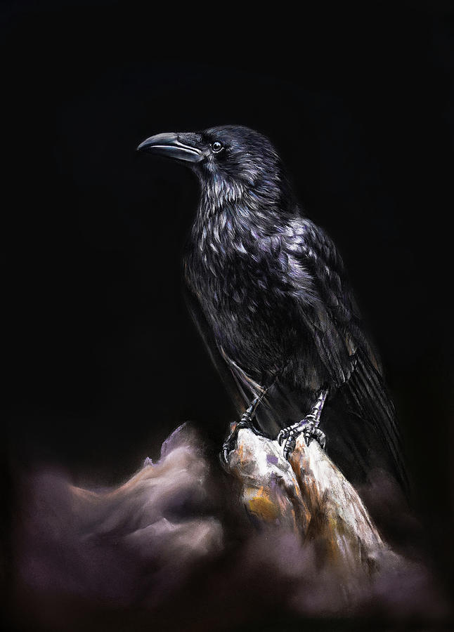 Black raven Print Pastel by Olga Orlova - Fine Art America