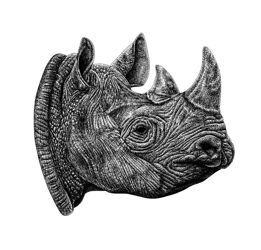 Animal Drawing - Black rhino - animal ink illustration by Loren Dowding