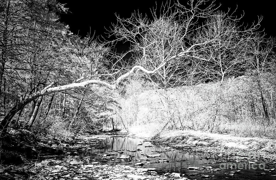 Black River Infrared in Bucks County Photograph by John Rizzuto