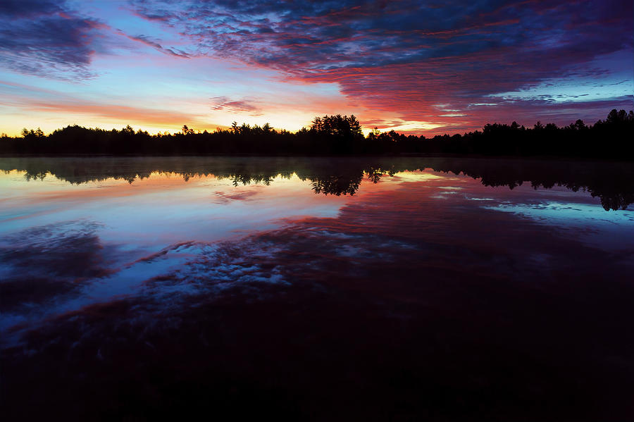 Black River State Forest Sunrise Photograph by Scott Norris