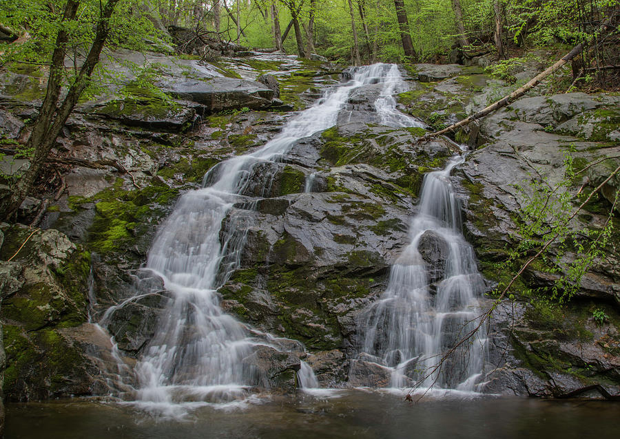 Black Rock Forest Waterfall Photograph by Thomas Patrick Kennedy - Fine ...