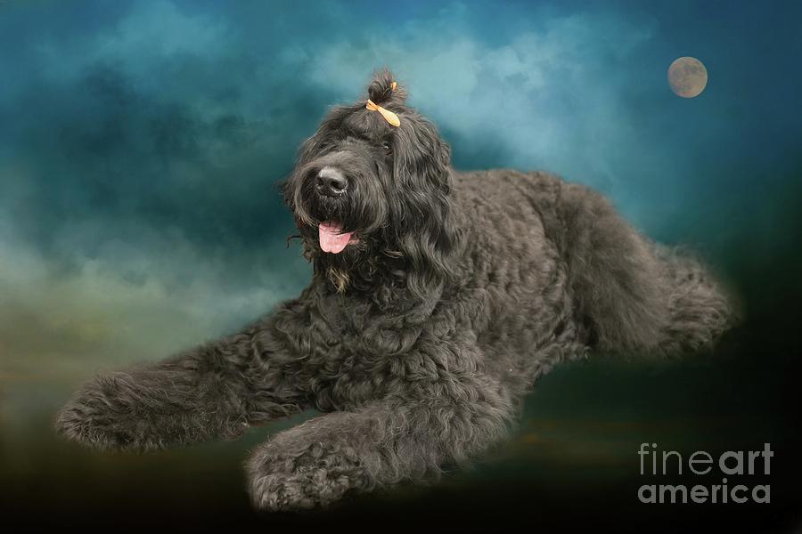 Black Russian Terrier Mixed Media by Eva Lechner