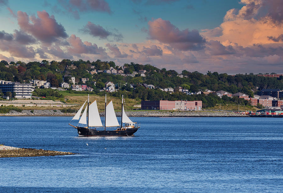 Black Sailboat with White Sails in Halifax Photograph by Darryl Brooks