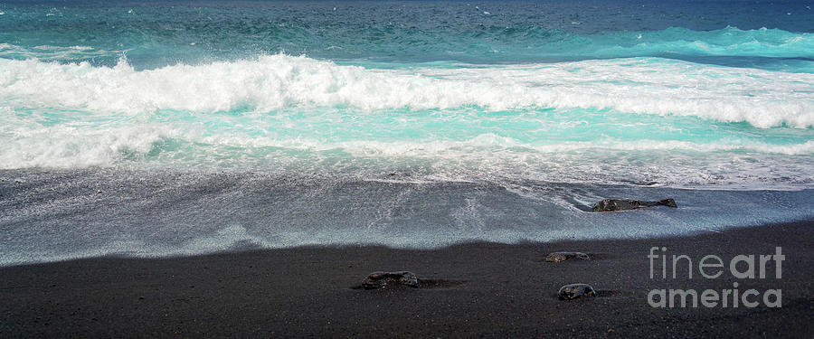 Black sand beach panorama Photograph by Delphimages Photo Creations