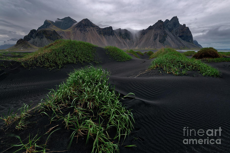 Black Sand Dunes and Vestrahorn Mountains in Iceland Photograph by Tom Schwabel