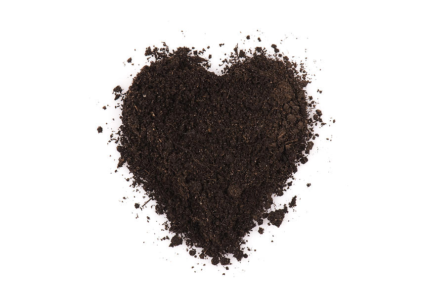 Black soil heart Photograph by Kaisphoto