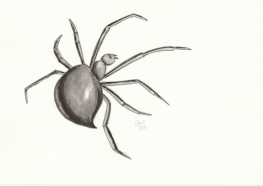 Black Spider Drawing by Cami Lee
