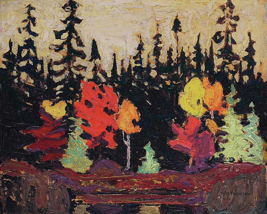 Black Spruce and Maple, 1915 Painting by Tom Thomson