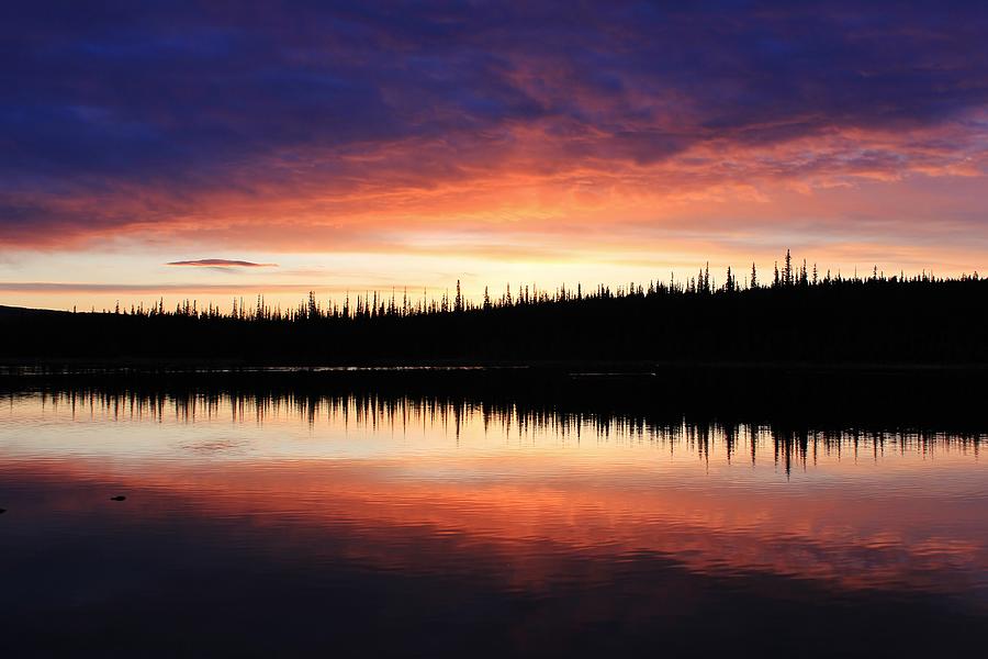 Black Spruce Sunset Reflections Photograph