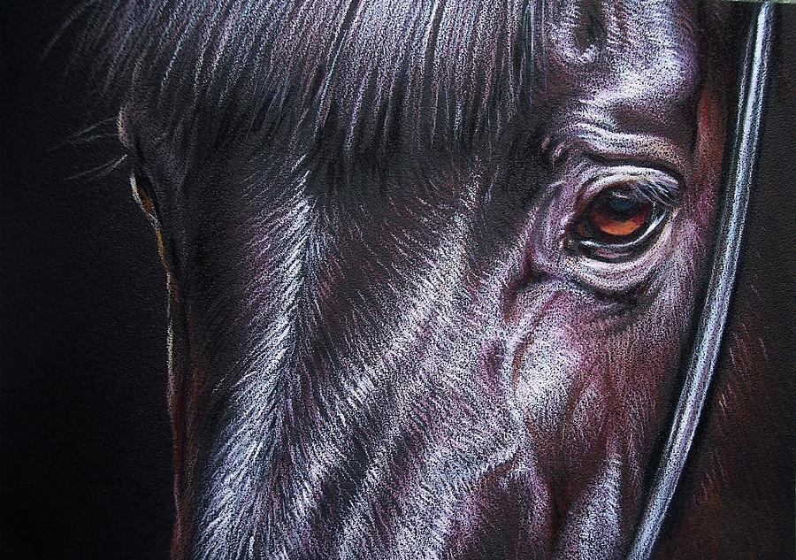 Black stallion Drawing by Elena Kolotusha