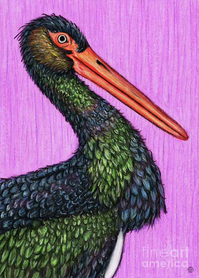 Black Stork Painting by Amy E Fraser