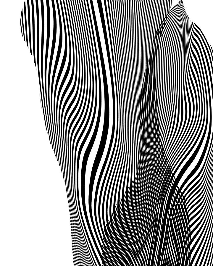 Black Stripe Fantasia Digital Art by Eena Bo