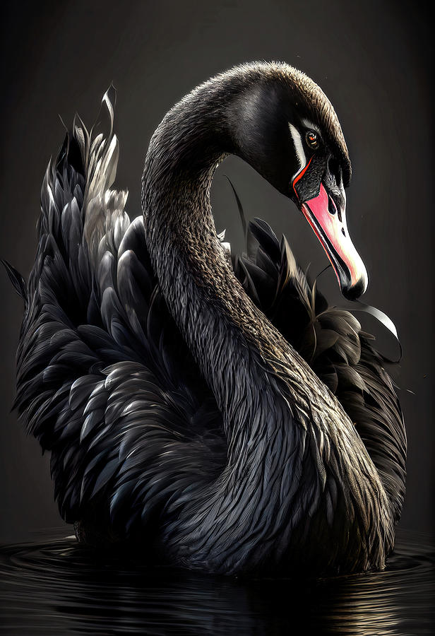 Black Swan Beauty Digital Art by Wes and Dotty Weber