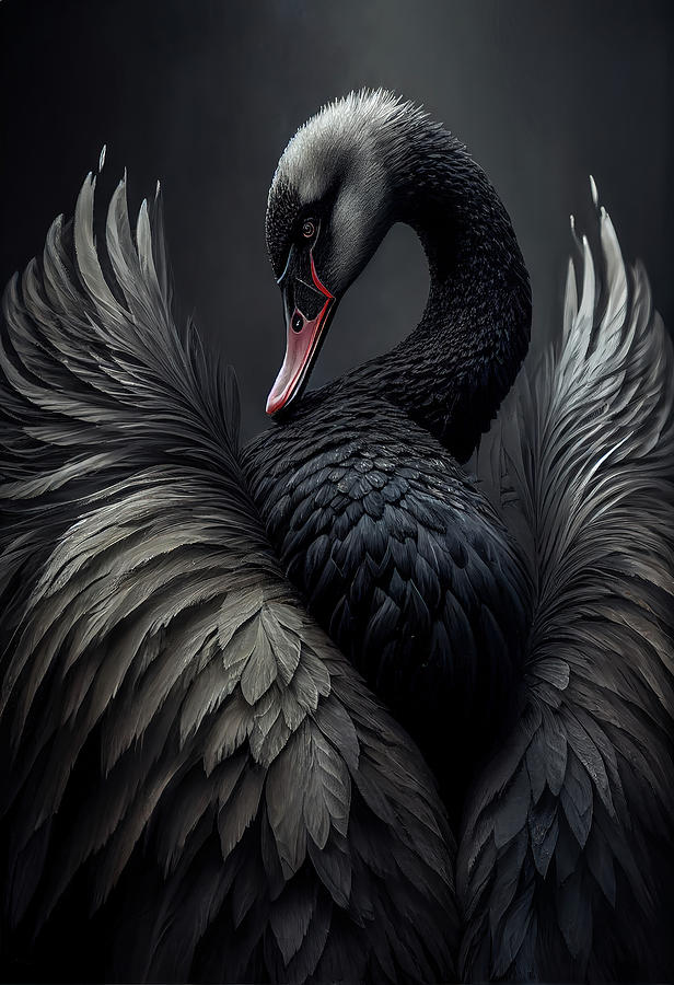 Black Swan Wings Digital Art by Wes and Dotty Weber