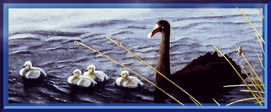 Black Swans - at Lake Monger Painting by Hartmut Jager