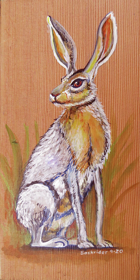 Black-tailedJack Rabbits Painting by David Sockrider