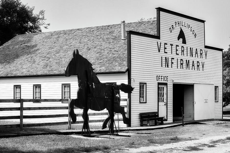 Black Tin Stallion - Grand Island, Nebraska Photograph by Susan Rissi Tregoning