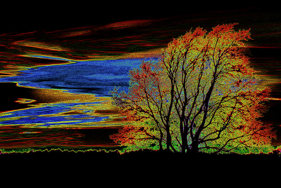 Black Velvet Sunset Digital Art by Darryl Dalton