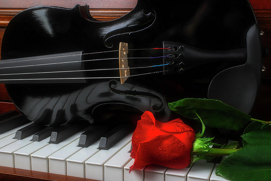 Black Violin And Red Rose On Piano Photograph by Garry Gay - Pixels