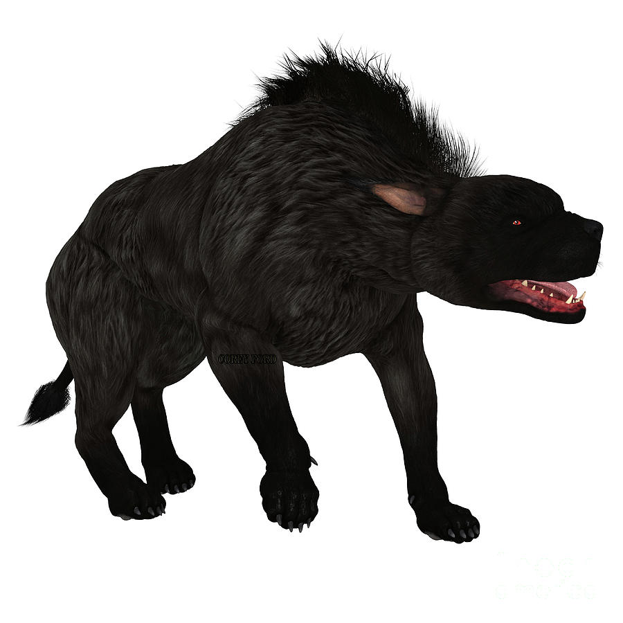 Black Warhound Walking  Digital Art by Corey Ford