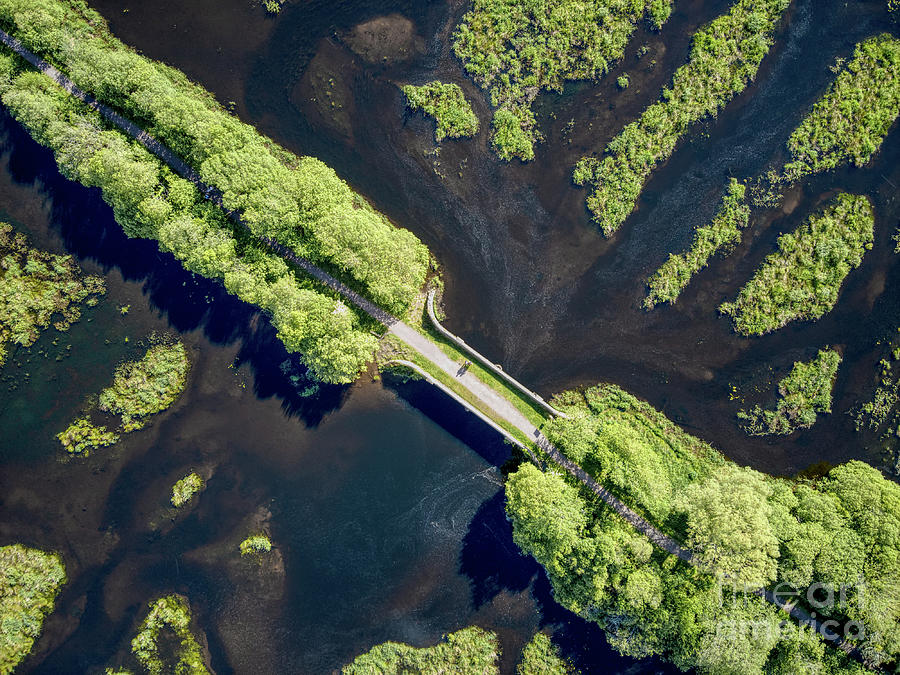 Black waters and green path Photograph by Lidija Ivanek - SiLa