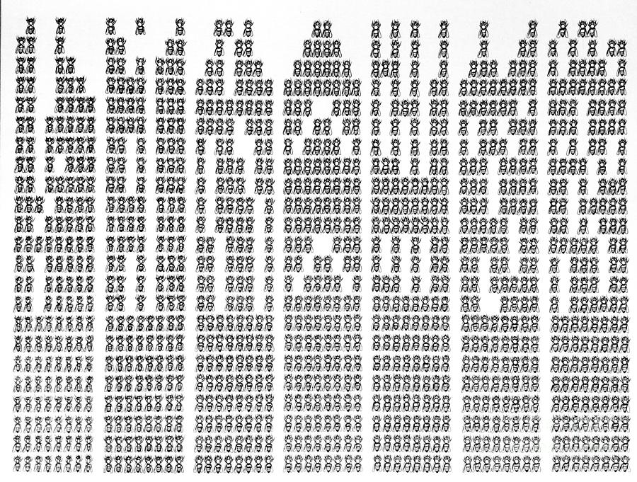 Black/White Bee Hives - Upside Down Drawing by Graham Wallwork - Fine ...