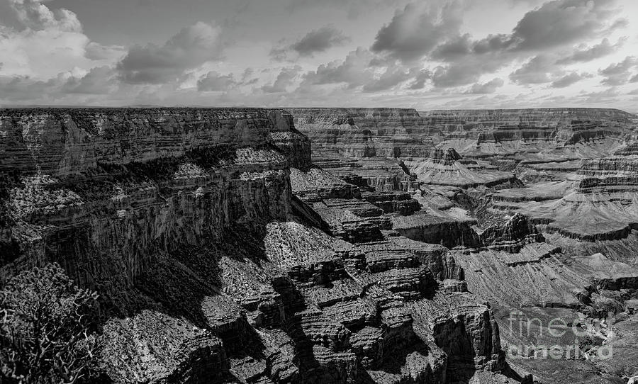 Black White Textures of Grand Canyon Arizona  Photograph by Chuck Kuhn