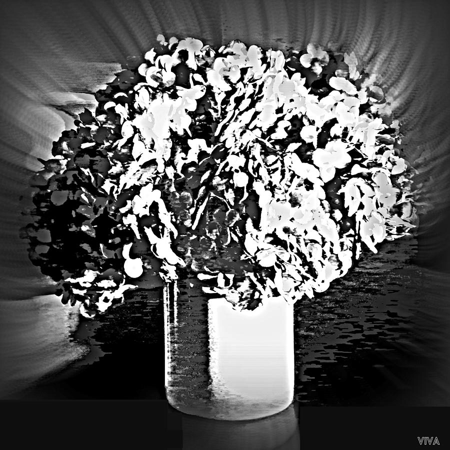 Black-white-the Light-floral Photograph by VIVA Anderson