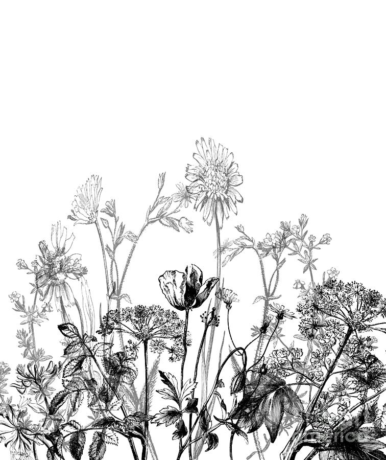 black and white plant art
