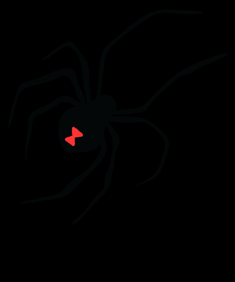 Black Widow Spider Digital Art by Michael S - Pixels