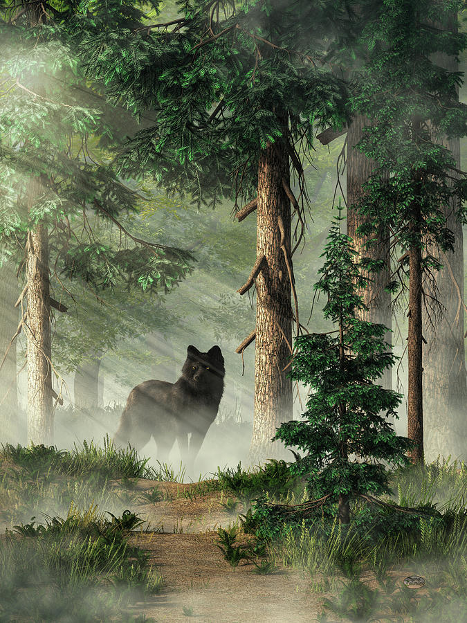 Black Wolf on the Path Digital Art by Daniel Eskridge