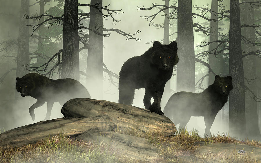Black Wolves Digital Art by Daniel Eskridge